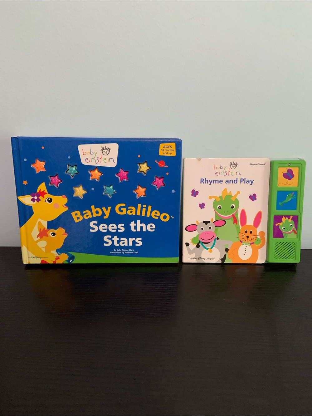 Baby Einstein Books Group